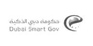 Dubai Smart Gov 